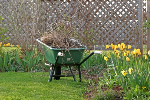 Flower Bed Cleanup Service in Lake Mary