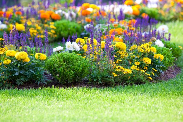 Flower Bed Maintenance in Lake Mary