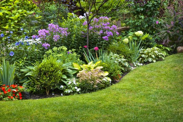 Flower Bed Service in Lake Mary