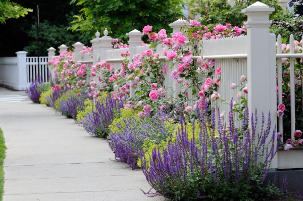 Garden Handyman Service in Lake Mary
