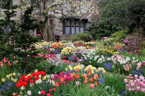 Garden Maintenance Service in Lake Mary