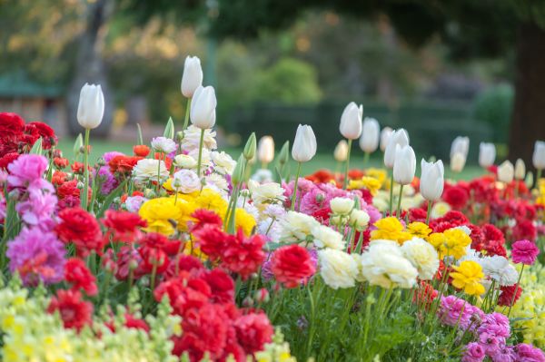 Gardening Service in Lake Mary