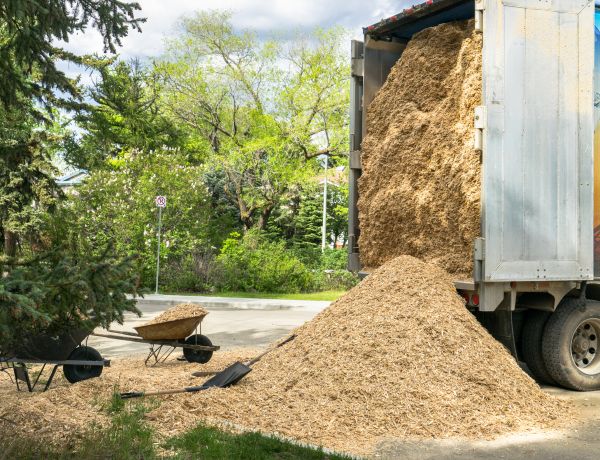 Wood Chips Delivery in Lake Mary