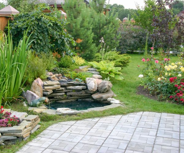 Yard Remodeling in Lake Mary