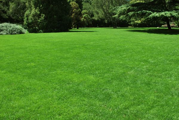 Lawn Landscaping in Lake Mary
