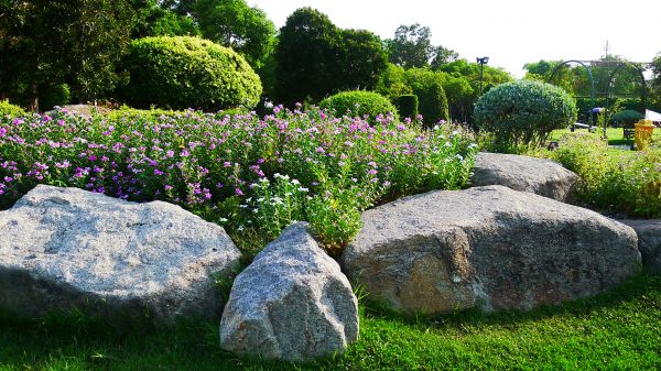 Boulder Landscaping in Lake Mary