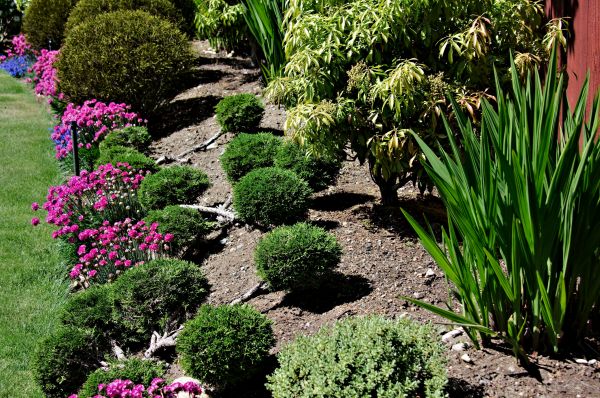 Residential Gardening in Lake Mary