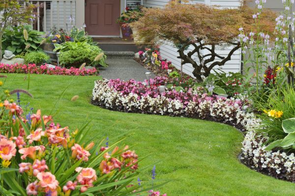 Perennial Landscaping in Lake Mary