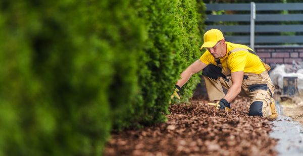 Cypress Mulch Installation in Lake Mary