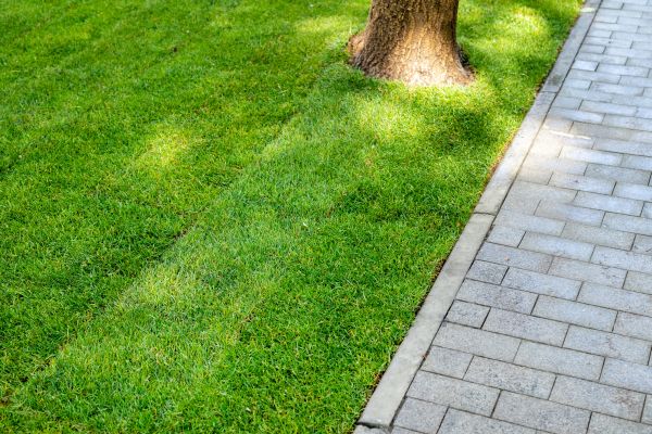 Border Stone Installation in Lake Mary