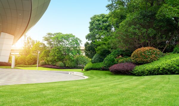 Business Landscape Design in Lake Mary