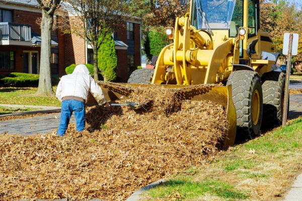 Mulch Hauling in Lake Mary