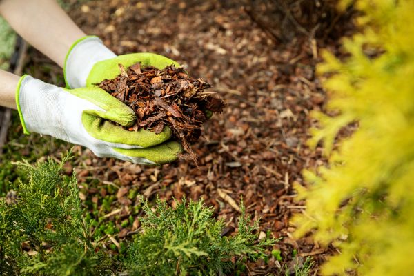 Garden Mulch Delivery in Lake Mary