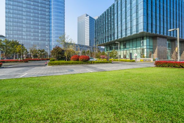 Industrial Landscaping Service in Lake Mary