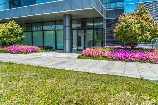 Commercial Gardening in Lake Mary