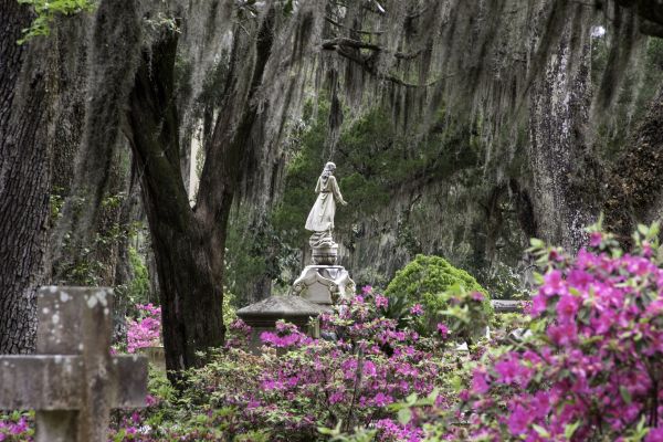 Cemetery Landscaping in Lake Mary