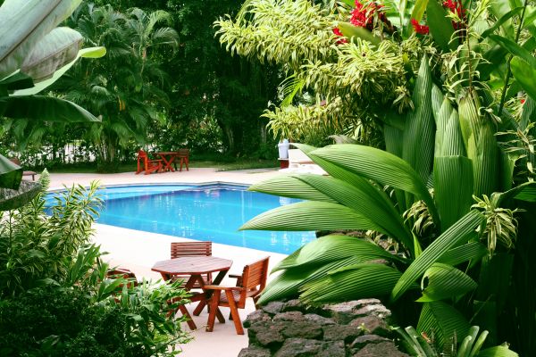 Tropical Garden Landscaping in Lake Mary
