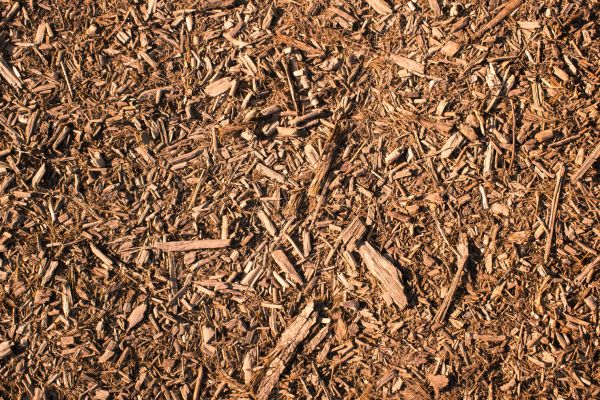Wood Chips Removal in Lake Mary