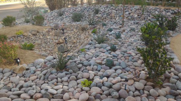 Yard Xeriscaping in Lake Mary