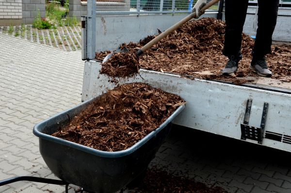 Cedar Mulch Delivery in Lake Mary