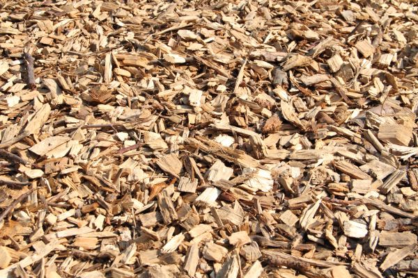 Wood Mulch Delivery in Lake Mary