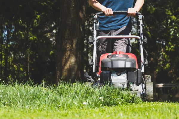 Garden Trimming Service in Lake Mary
