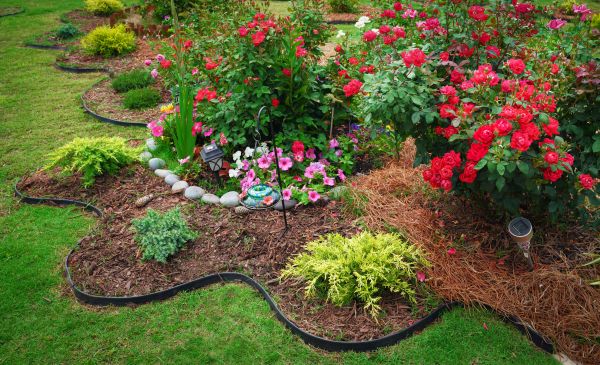 Floral Landscaping in Lake Mary