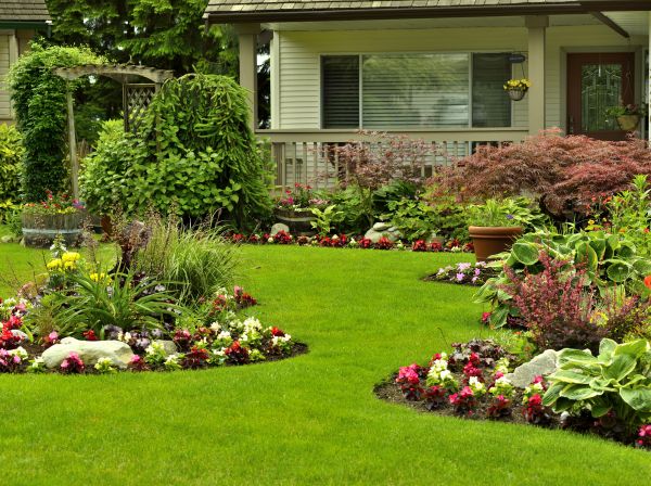 Flower Garden Planting in Lake Mary