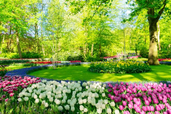 Flower Landscaping in Lake Mary