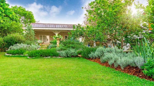 Greenery Planting in Lake Mary