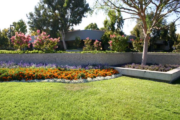 Commercial Landscape Service in Lake Mary