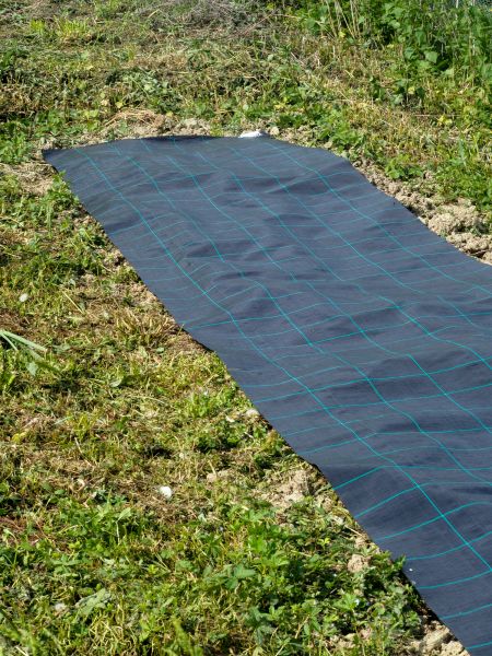Weed Suppressant Installation in Lake Mary