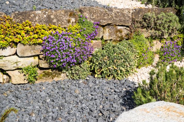 Landscaping Rocks Installation in Lake Mary