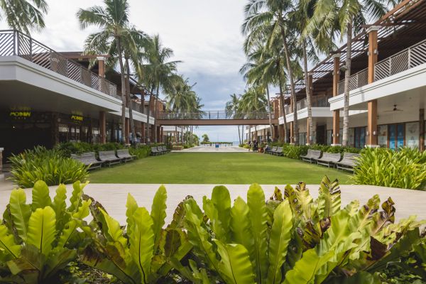 Commercial Lawn Renovation in Lake Mary