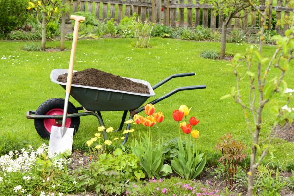 Spring Yard Renovation in Lake Mary
