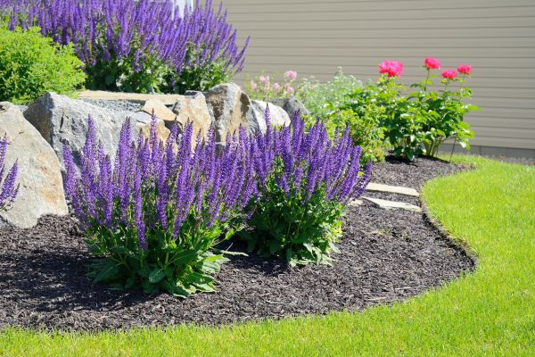 Landscape Planting Service in Lake Mary