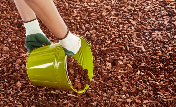 Wood Chip Landscaping in Lake Mary