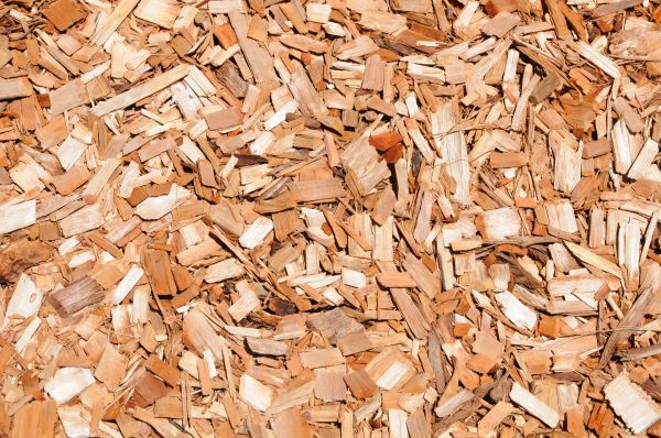 Cypress Mulch Spreading in Lake Mary
