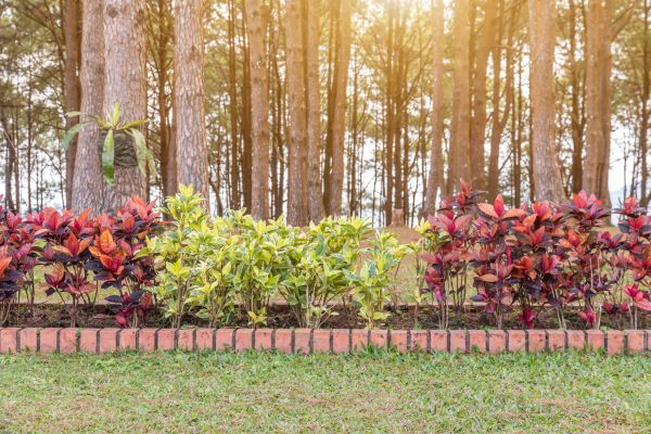Small Garden Landscaping in Lake Mary