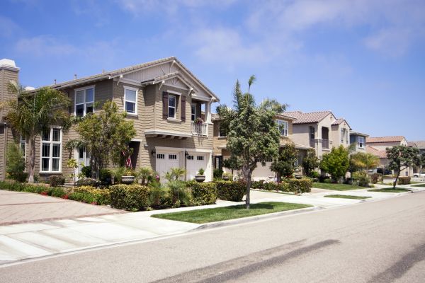 Neighborhood Landscaping in Lake Mary