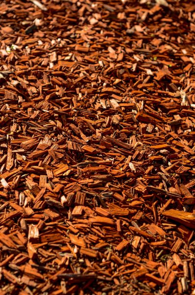 Cedar Mulch Spreading in Lake Mary