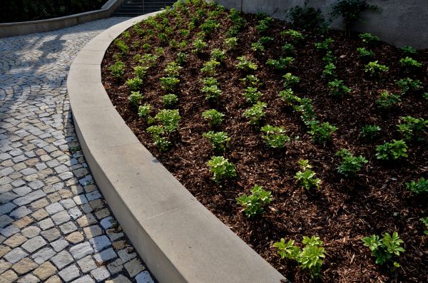 Commercial Mulching in Lake Mary