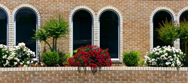 Church Landscaping in Lake Mary