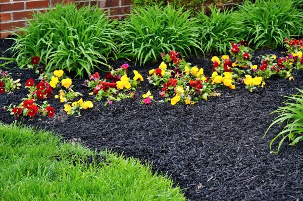Apartment Mulching in Lake Mary